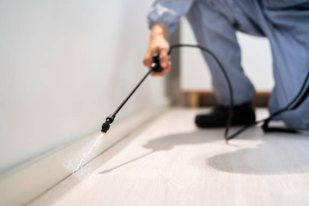 Bed Bug Pre-Treatment Preparation Assessment in Sterling